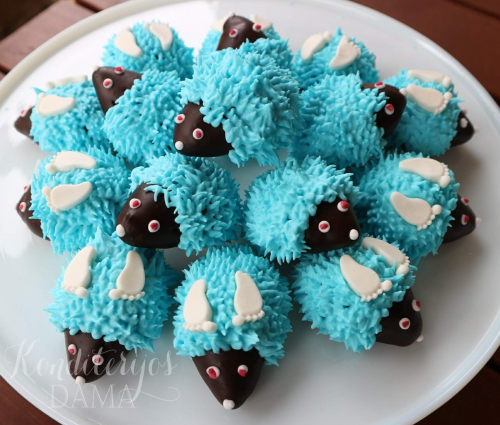 Ežiukai berniuko krikštynoms