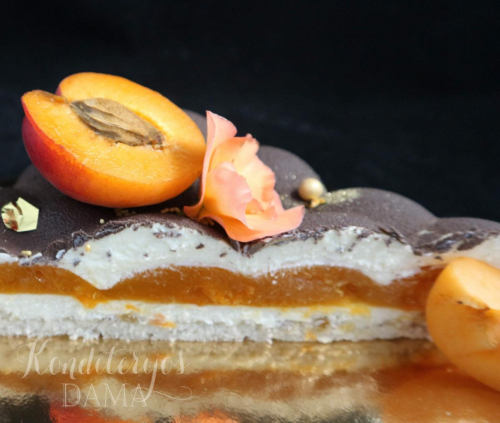 PicsArt 06-17-06.55.33