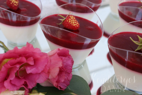 Panna cotta su avietėmis