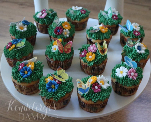 Pilna pieva drugelių